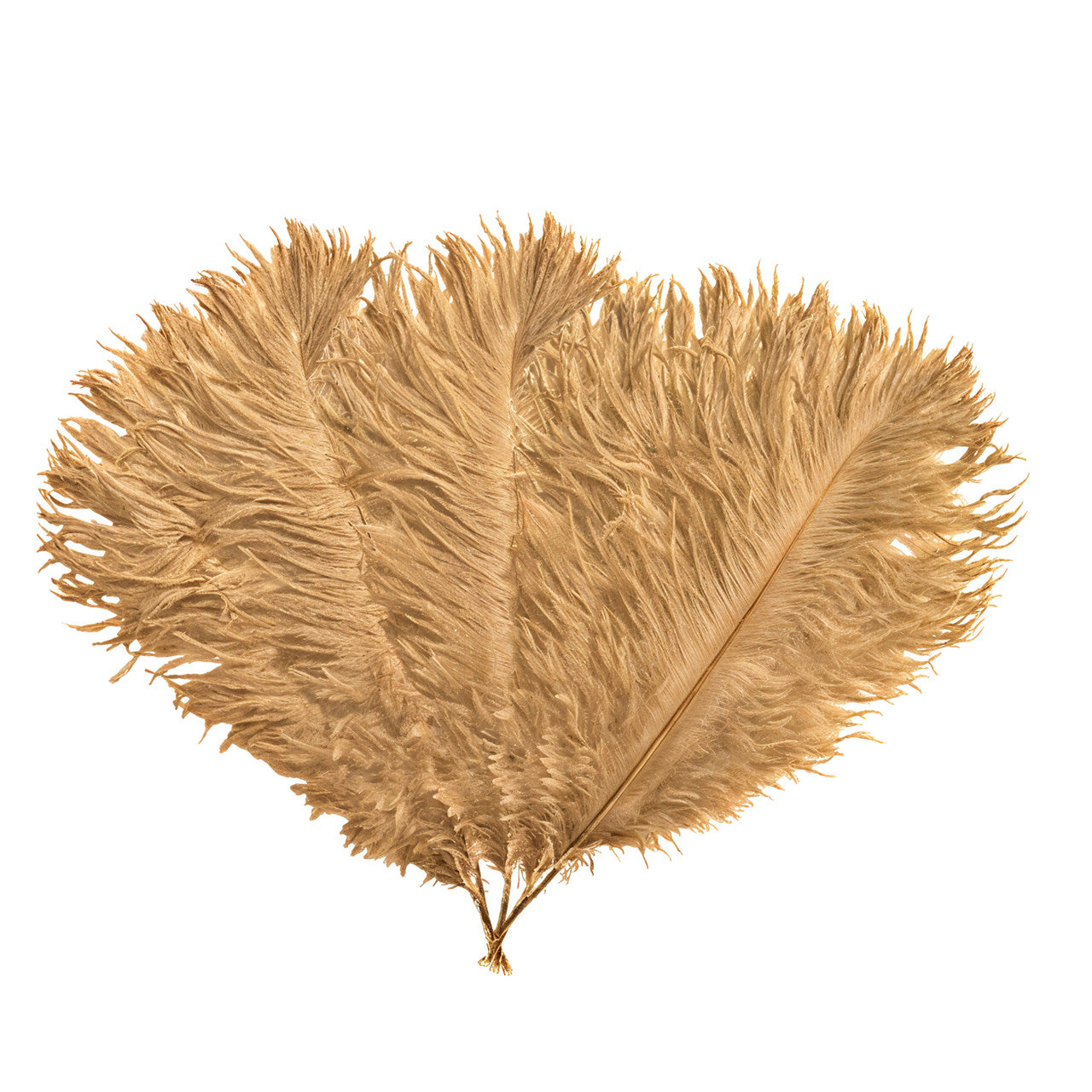 35-40cm Loose Ostrich Feathers, 5pcs - Gold