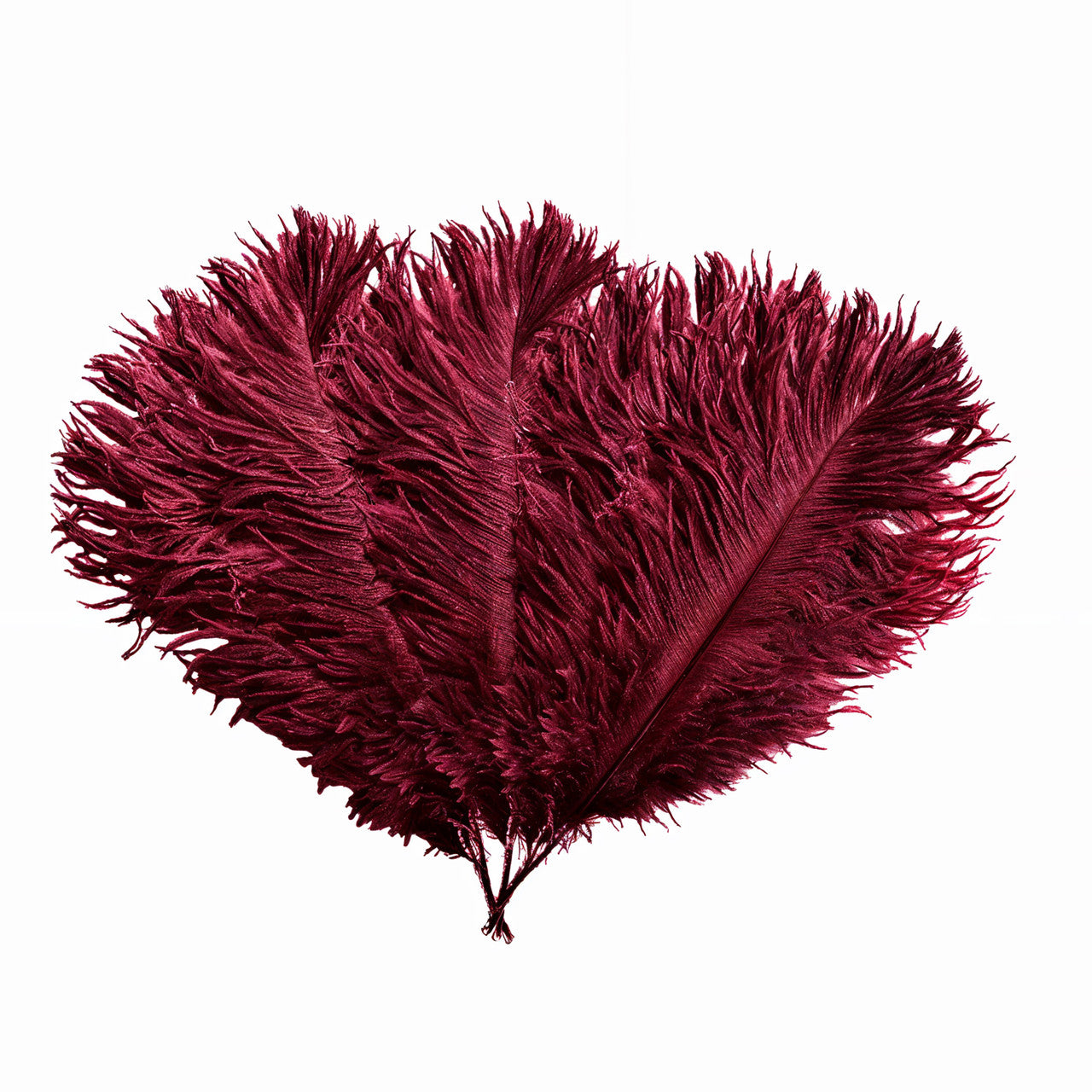 35-40cm Loose Ostrich Feathers, 5pcs - Burgundy
