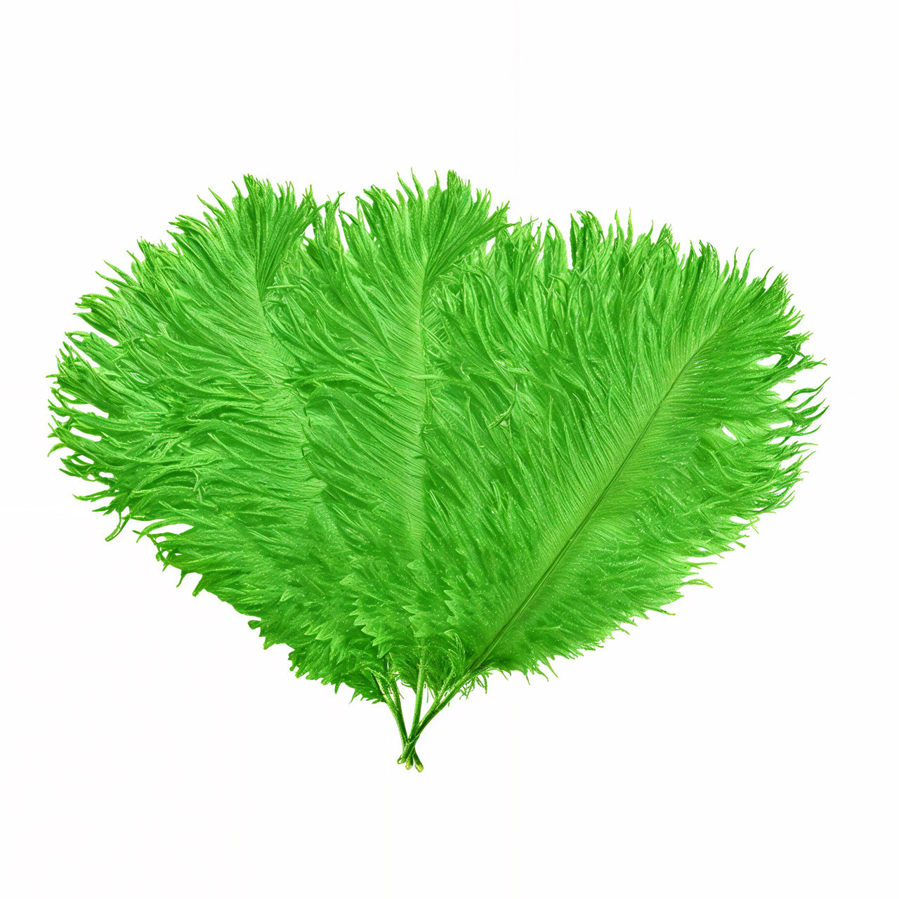 35-40cm Loose Ostrich Feathers, 5pcs - Green