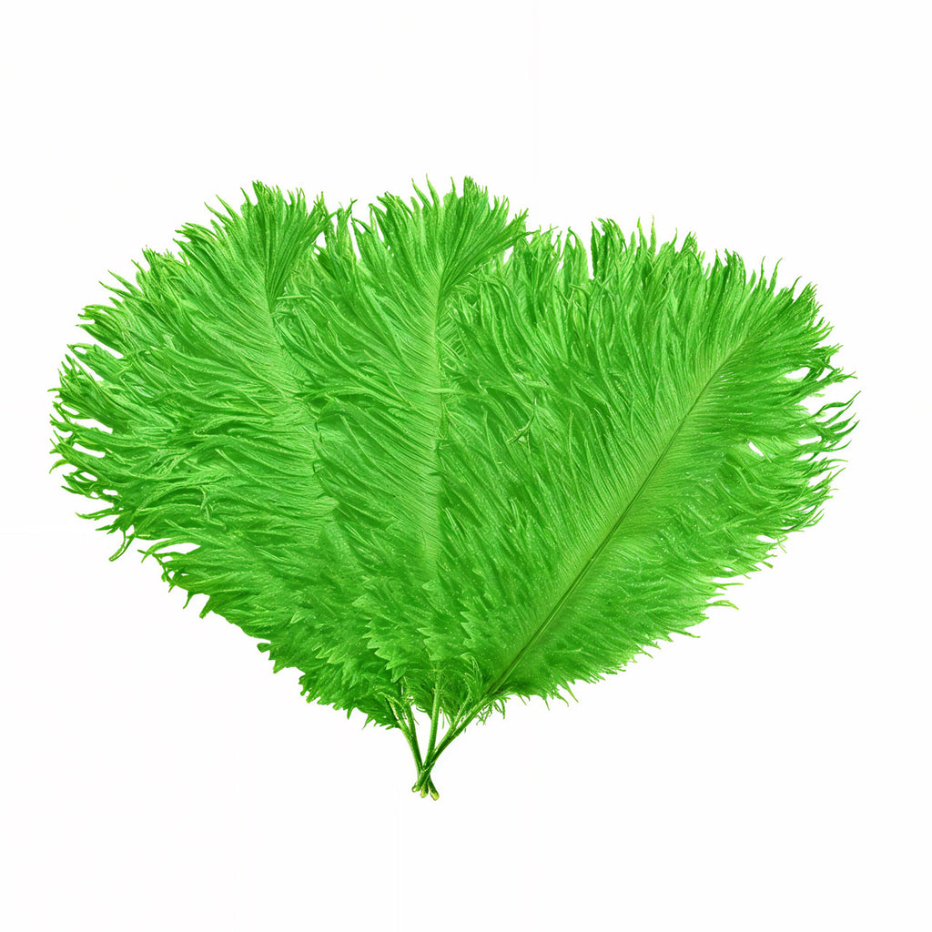 35-40cm Loose Ostrich Feathers, 5pcs - Green