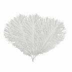 35-40cm Loose Ostrich Feathers, 5pcs - White