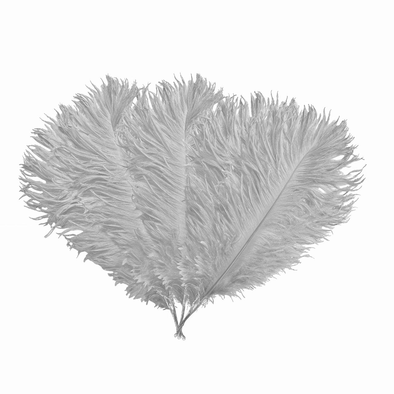 35-40cm Loose Ostrich Feathers, 5pcs - Silver