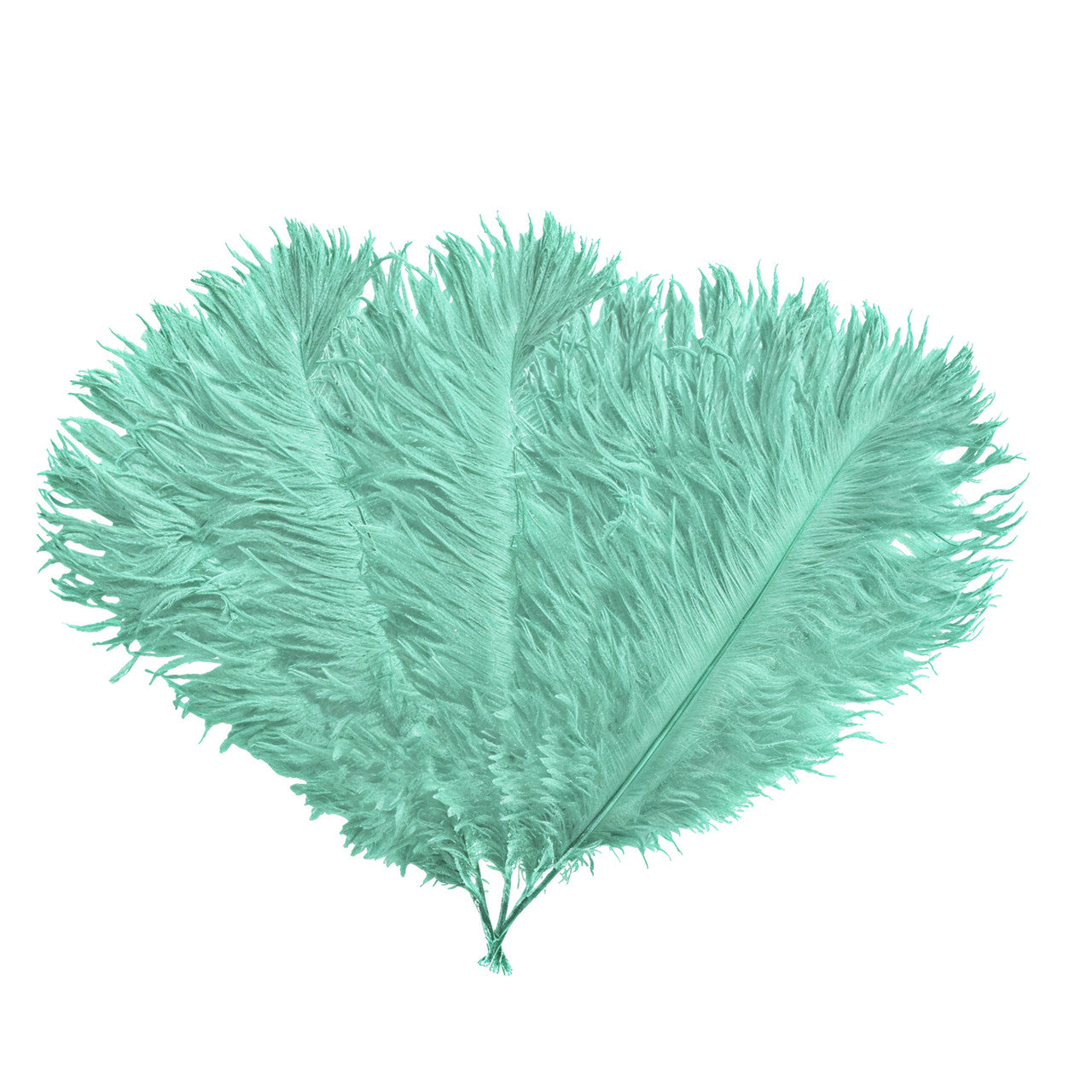 35-40cm Loose Ostrich Feathers, 5pcs - Mint