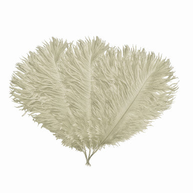 35-40cm Loose Ostrich Feathers, 5pcs - Ivory