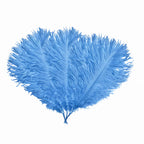 35-40cm Loose Ostrich Feathers, 5pcs - Baby Blue