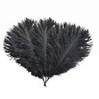 35-40cm Loose Ostrich Feathers, 5pcs - Black