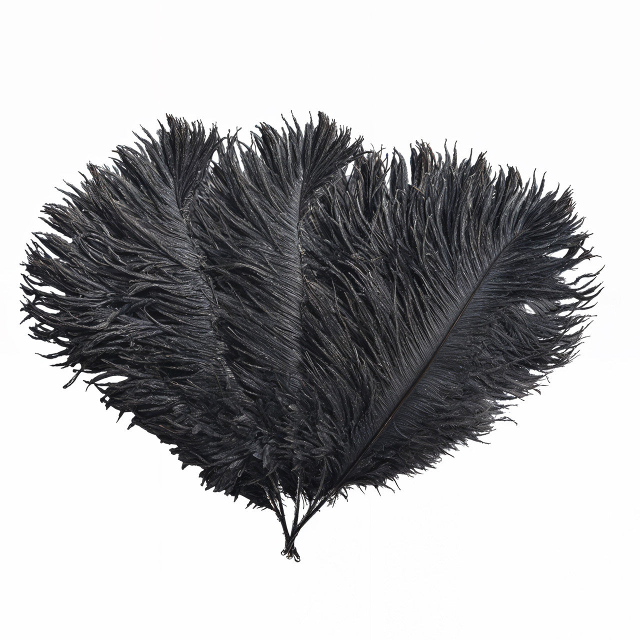 35-40cm Loose Ostrich Feathers, 5pcs - Black