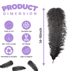 50-60cm Loose Ostrich Feathers, 5pcs - Black