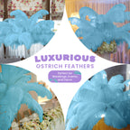 50-60cm Loose Ostrich Feathers, 5pcs - Turquoise