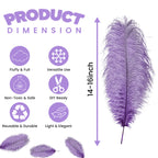 50-60cm Loose Ostrich Feathers, 5pcs - Purple