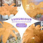 50-60cm Loose Ostrich Feathers, 5pcs - Orange
