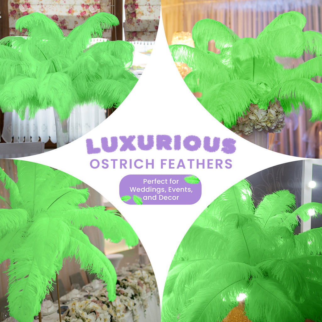 50-60cm Loose Ostrich Feathers, 5pcs - Green
