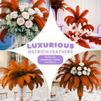 35-40cm Loose Ostrich Feathers, 5pcs - Orange