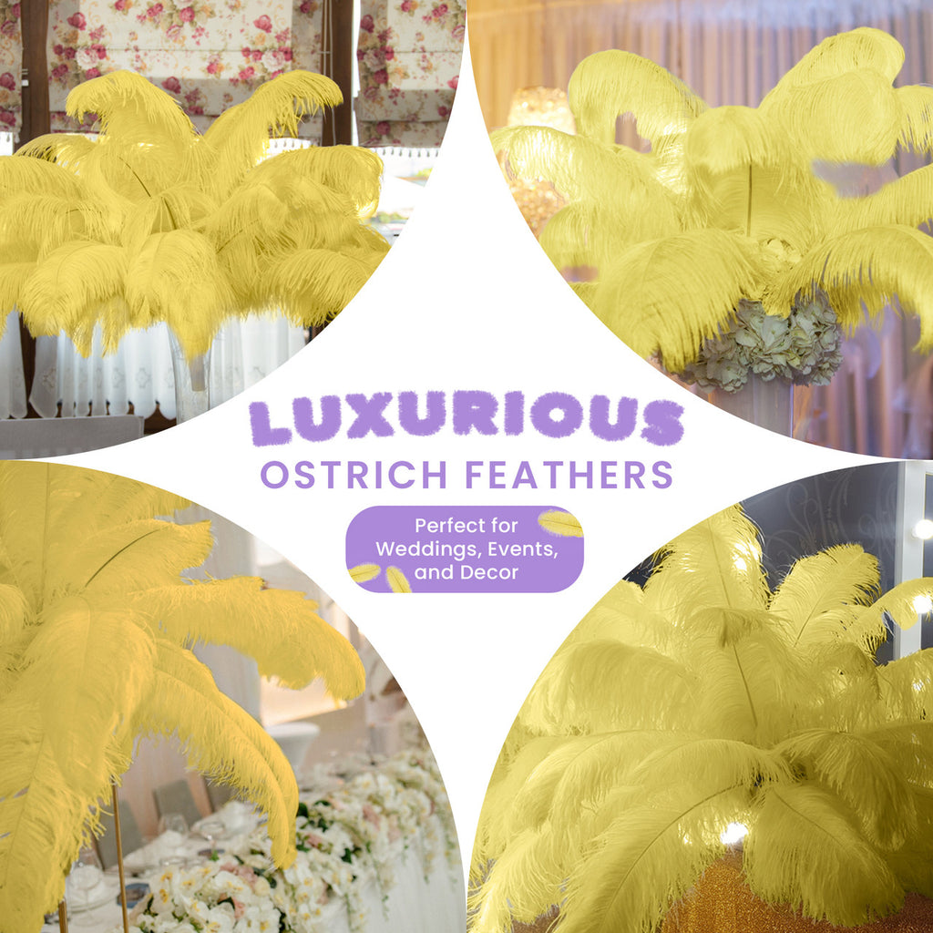 50-60cm Loose Ostrich Feathers, 5pcs - Yellow