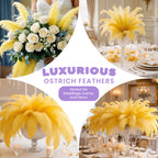 35-40cm Loose Ostrich Feathers, 5pcs - Yellow
