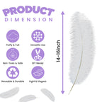 50-60cm Loose Ostrich Feathers, 5pcs - Baby Blue