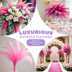 35-40cm Loose Ostrich Feathers, 5pcs - Baby Pink