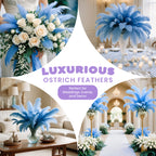 35-40cm Loose Ostrich Feathers, 5pcs - Baby Blue
