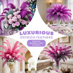 35-40cm Loose Ostrich Feathers, 5pcs - Hot Pink