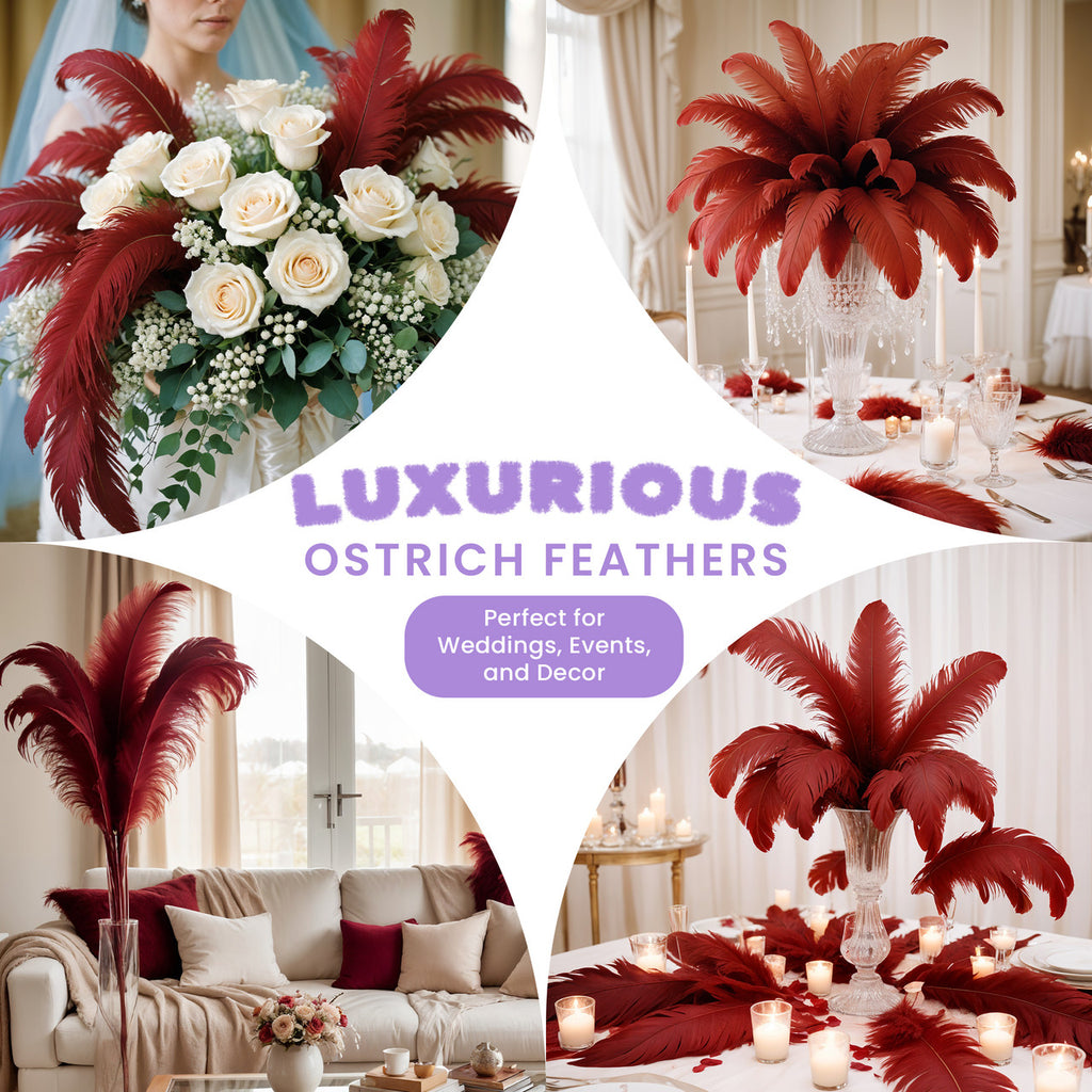 35-40cm Loose Ostrich Feathers, 5pcs - Burgundy