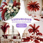 35-40cm Loose Ostrich Feathers, 5pcs - Burgundy