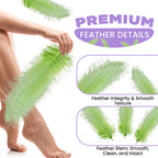 50-60cm Loose Ostrich Feathers, 5pcs - Mint