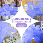50-60cm Loose Ostrich Feathers, 5pcs - Royal Blue