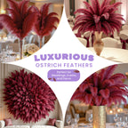 50-60cm Loose Ostrich Feathers, 5pcs - Burgundy