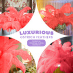 50-60cm Loose Ostrich Feathers, 5pcs - Red