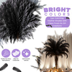 50-60cm Loose Ostrich Feathers, 5pcs - Black