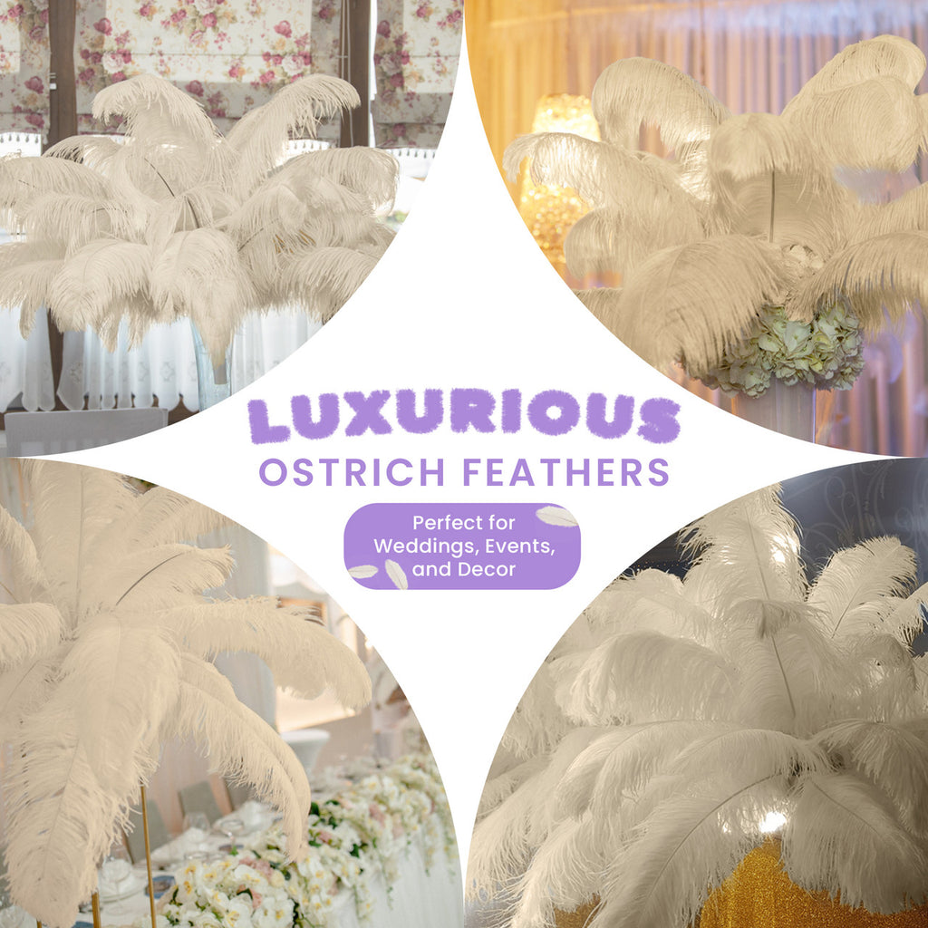 50-60cm Loose Ostrich Feathers, 5pcs - Ivory