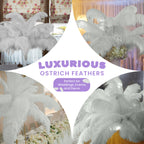 50-60cm Loose Ostrich Feathers, 5pcs - Silver