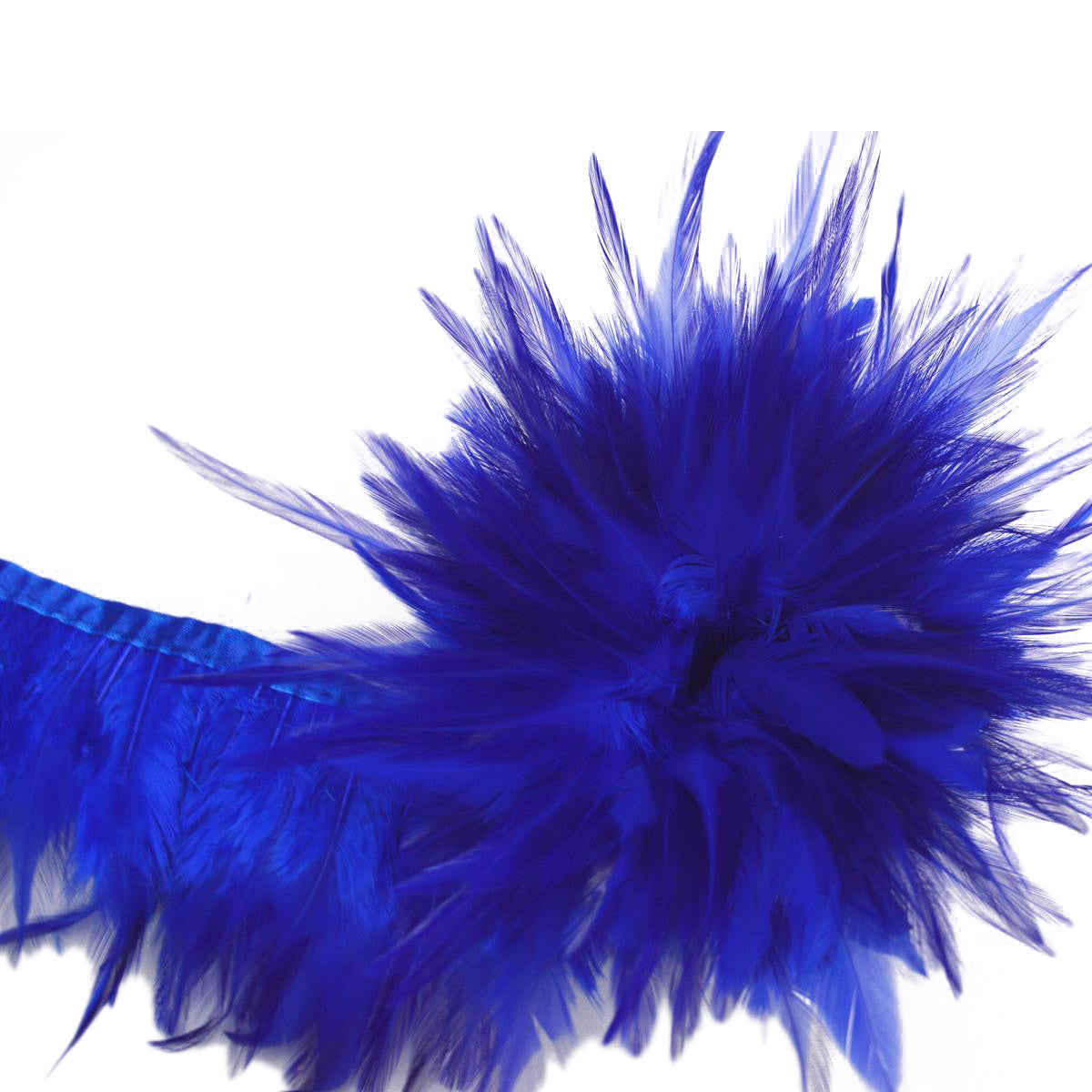 Rooster Feather Fringe for Costume - Royal Blue