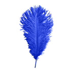 35-40cm Loose Ostrich Feathers, 5pcs - Royal Blue