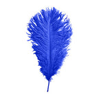 35-40cm Loose Ostrich Feathers, 5pcs - Royal Blue
