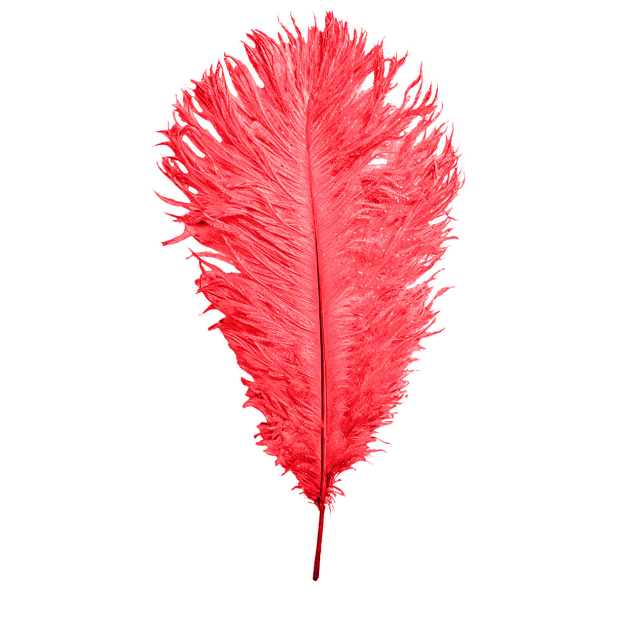 35-40cm Loose Ostrich Feathers, 5pcs - Red