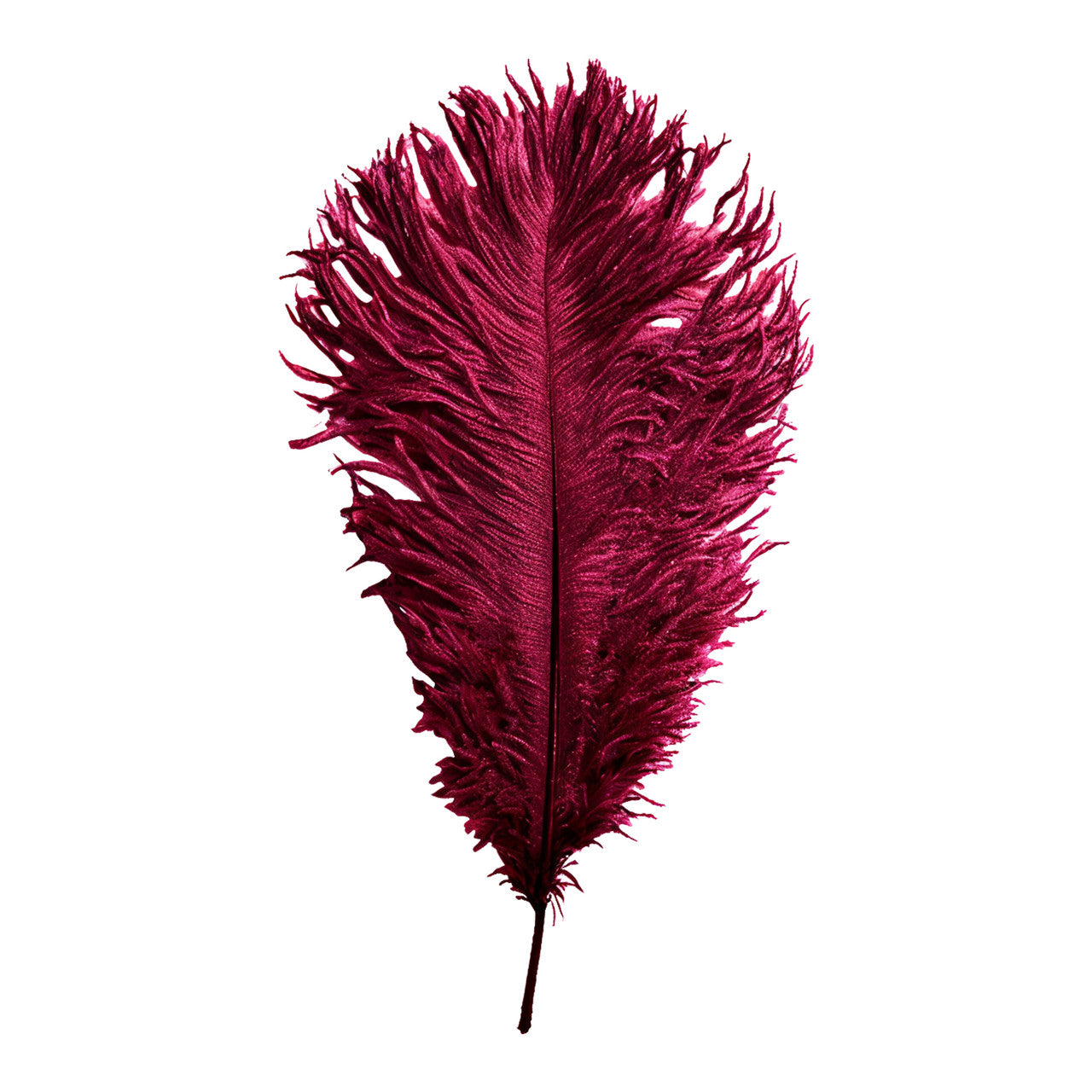 35-40cm Loose Ostrich Feathers, 5pcs - Burgundy