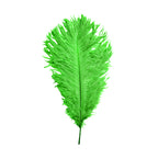 35-40cm Loose Ostrich Feathers, 5pcs - Green
