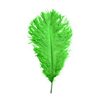 35-40cm Loose Ostrich Feathers, 5pcs - Green