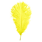 35-40cm Loose Ostrich Feathers, 5pcs - Yellow