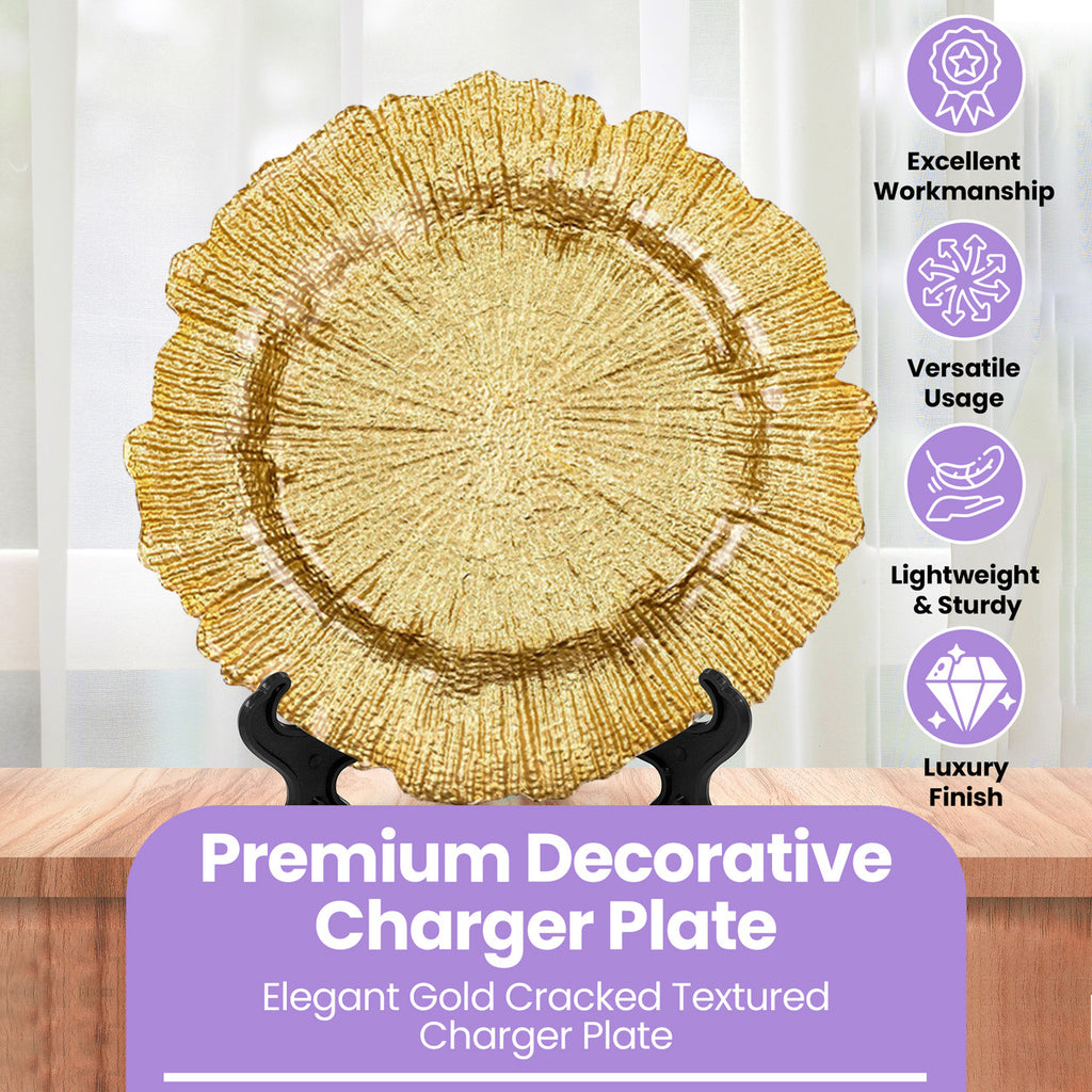 Decorative Charger Plates for Parties - 24Pcs
