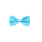 Blue Aqua Bow Tie