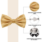 Champagne Bow Tie