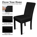 Short Velvet-Touch Spandex Chair Cover - Black