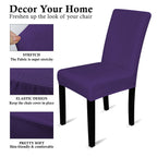 Short Velvet-Touch Spandex Chair Cover - Dark Purple