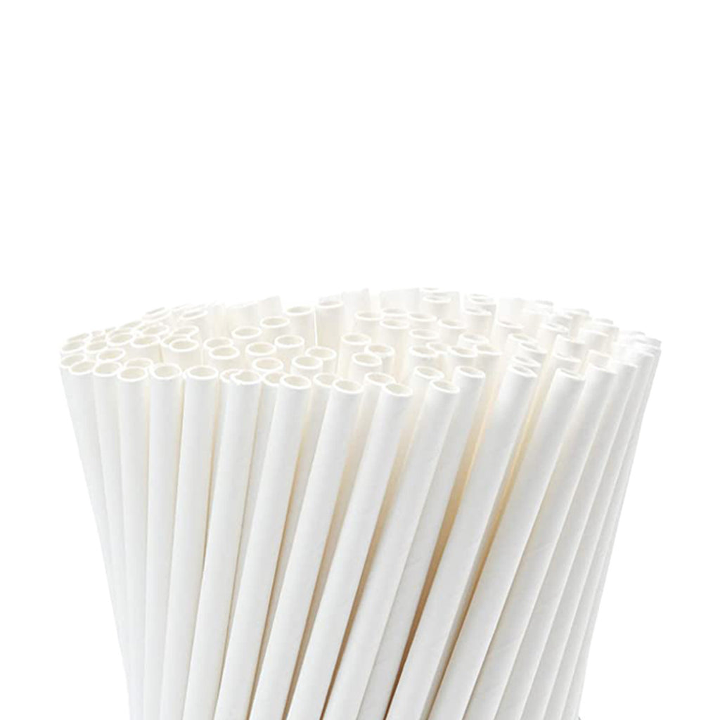White Biodegradable Paper Straws