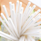 White Biodegradable Paper Straws