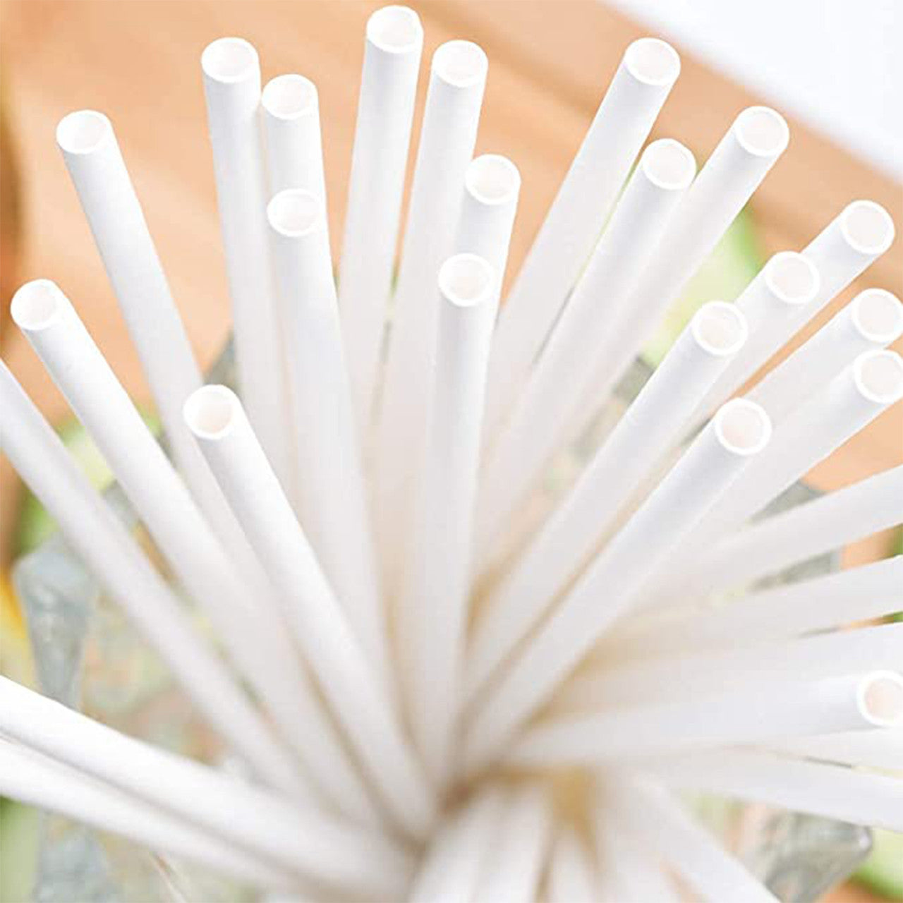 White Biodegradable Paper Straws