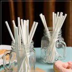 White Biodegradable Paper Straws