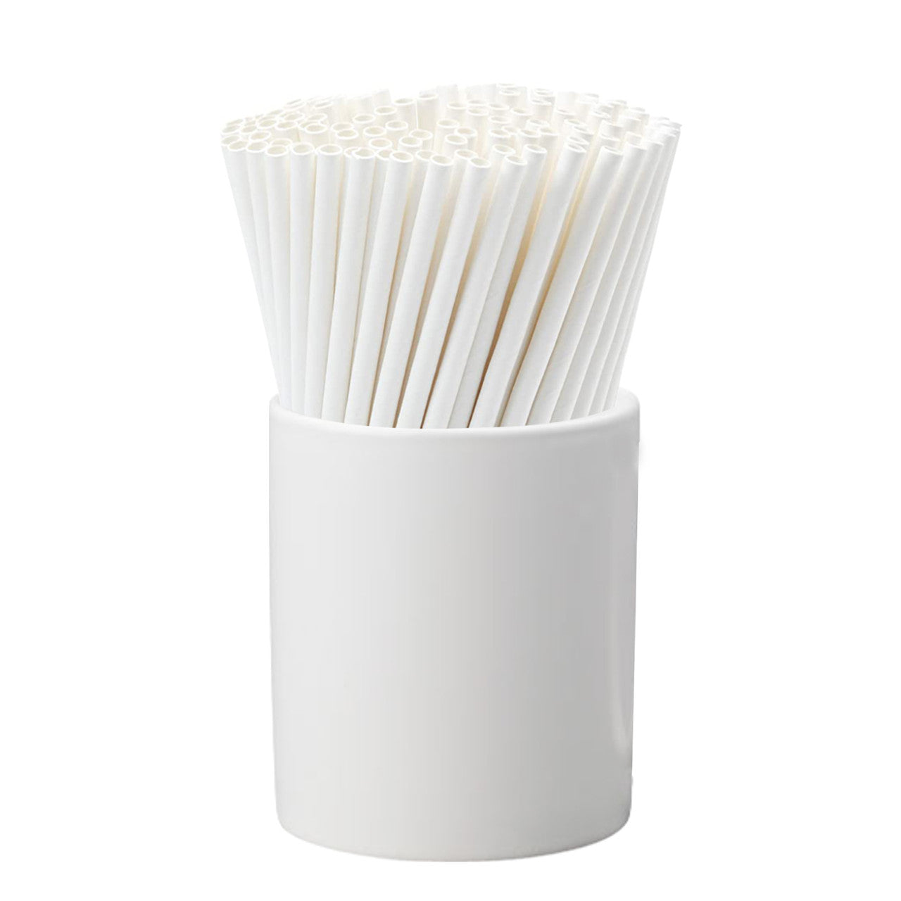 White Biodegradable Paper Straws